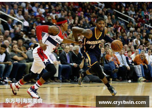 NBA败家子：赛场风云与生活百态