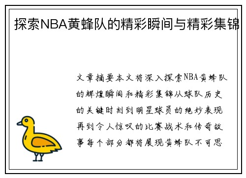 探索NBA黄蜂队的精彩瞬间与精彩集锦
