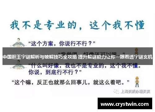 中国胆王字谜解析与破解技巧全攻略 提升解谜能力让你一眼看透字谜玄机